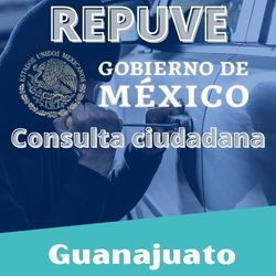 Consulta Repuve en Guanajuato
