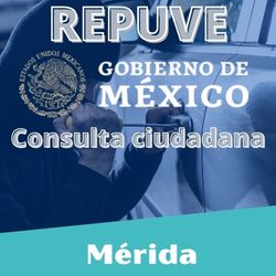 ¿Cómo le hago para consultar el Repuve en Mérida?