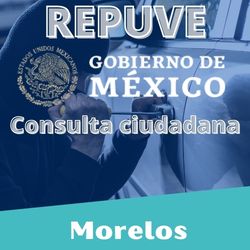 Consulta Repuve para Morelos