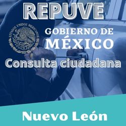 Checar placas vehiculares en Nuevo León