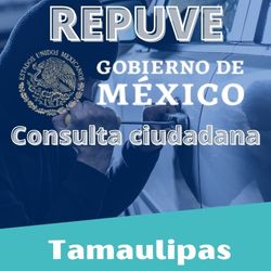 ¿Cómo me informo si un vehículo en Tamaulipas tiene reporte de robo?